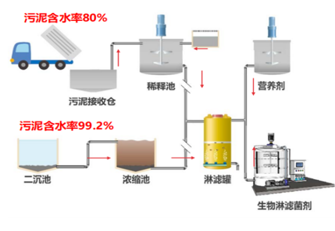 兴发xf(中国区)游戏有限公司